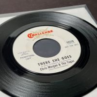 Chris Morgan & The Togas There She Goes on Challenge White Label Promo 12.jpg