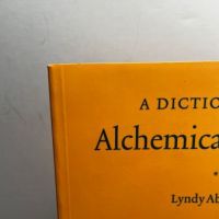 Dictionary of Alchemical Imagery by Lyndy Abraham 2.jpg