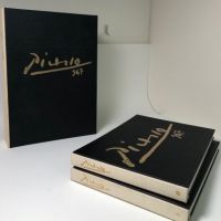 First Edition of Picasso 347 2 Volume Set with Clamshell 1970 1.jpg