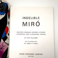 Indelible Miro by Yvon Tailandier Pub by Tudo Hardback with Slipcase 9.jpg