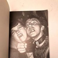 Punk Rock by Virginia Boston Published by Penguin Books 1978 1st Edition 4.jpg