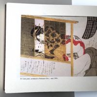 Shunga The ARt of Love in Japan by Tom and Mary Anne Evans Pub by Paddiington Press With Slipcase 20.jpg