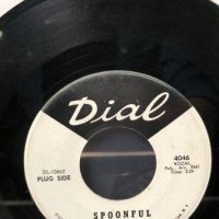 The Allman Joys Spoonful on Dial 4046 White Label Promo 2.jpg