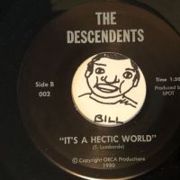 The Descendents Ride The Wild on Orca Productions – 001 Pinsicato Records Sleeve 17.jpg