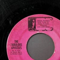 The Fabulous Apostles You Don't Know Like I Know b:w Dark Horse Blues on Shana Records 4.jpg