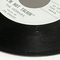 The Ferraris Can’t Explain on Welhaven Records 10.jpg