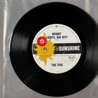 The Five Bright Lights Big City b:w Wasting My Time on Sunshine Records 4.jpg