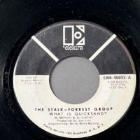 The Stalk Forrest Group What is Quicksand on Elektra White Label Promo 2.jpg