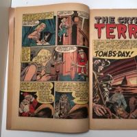 The Vault of Horror No. 35 March 1954 Published by EC Comics 19.jpg