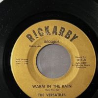 The Versatiles Somethin’ Like A Man b:w Warm In The Rain on Rickarby 6.jpg