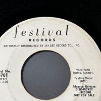 William The Wild One Willie The Wild One on Festival Records White Label Promo 8.jpg