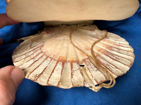Victorian Era Scallop Shell Book with Pressed Flowers 16.jpg
