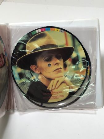 David Bowie Picture Disc Box Set Fashions 16.jpg