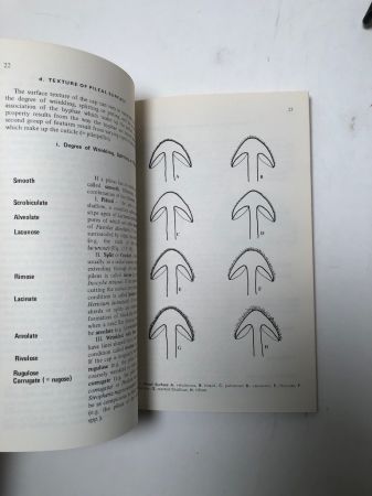 How to Identify Mushrooms to Genus I-IV Published by Mad River Press 8.jpg