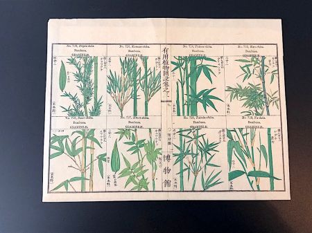 Japanese Herbal Botanical Medical Pages 6.jpg