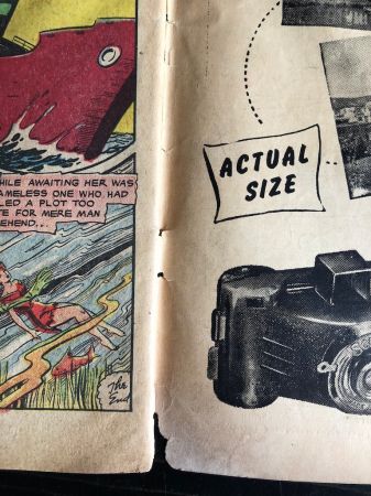 Journey Into Fear No. 7 May 1952 Published by Superior Comic 25.jpg