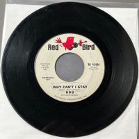 006 Like What, Me Worry b:w Why Can’t I Stay on Red Bird PROMO 6.jpg