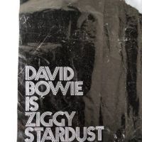 1972 RCA Promo Record Bag David Bowie Ziggy Stardust 15.jpg