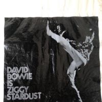 1972 RCA Promo Record Bag David Bowie Ziggy Stardust 2.jpg
