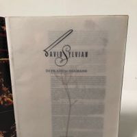 David Sylvian In Praise of Shamans World Tour Program 1988 6.jpg