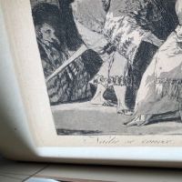 Francisco Goya Nadie se Conoce 14.jpg (in lightbox)