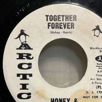 Honey & The Bees Together Forever on Arctic One Sided Promo 4.jpg