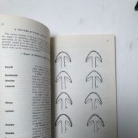 How to Identify Mushrooms to Genus I-IV Published by Mad River Press 8.jpg