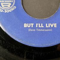 Livin’ End Don’t Let Me Be Misunderstood on KB Records 7.jpg