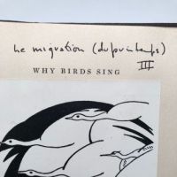 Prentiss Taylor Study and Mock Up Book for Why Birds Sing by Jacques Delamain 12 (in lightbox)