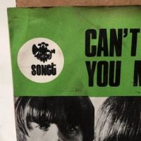 Rare Sweden Picture Sleeve The Seeds Can’t Seem to Make You Mine 6.jpg