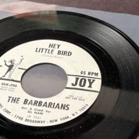 The Barbarians Hey Little Bird : You've Got To Understand on Joy Records White Label Promo with Factory Sleeve 9.jpg