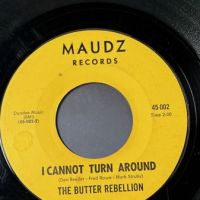 The Butter Rebellion Aftermath b:w I Cannot Turn Around on Maude Records 8.jpg