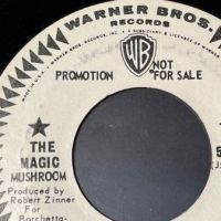 The Magic Mushroom I’m Gone on Warner Bros White Label Promo 5.jpg