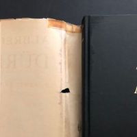 Two Volume set of Albrecht Durer Pub by Princeton University Press 1948 by Erwin Panofsky 4.jpg