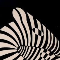 vasarely zebra litho 4.jpg