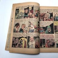 Vault of Horror No. 23 February 1952 published by EC Comics 11.jpg