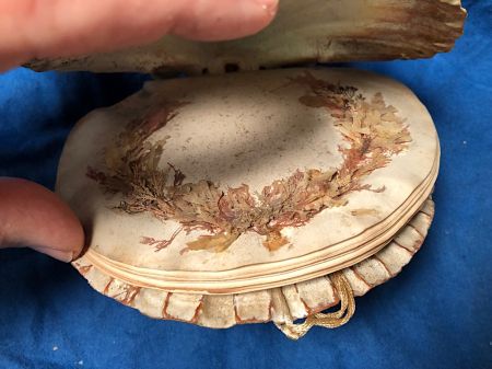 Victorian Era Scallop Shell Book with Pressed Flowers 4.jpg