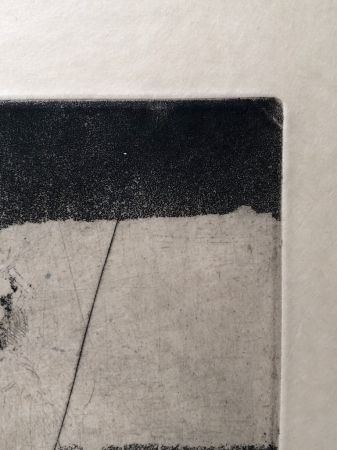 Edgar Degas Femme a la Mantille Aquatint Etching Restrike From Canceled Plate 5.jpg
