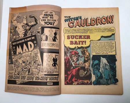 Haunt of Fear No 19 June 1953 published by EC Comics 7.jpg