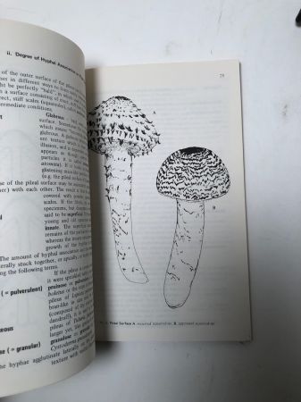 How to Identify Mushrooms to Genus I-IV Published by Mad River Press 9.jpg