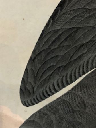 James Audubon Arctic Yager Long-tailed Jaeger Plate CCLXVII (267) 17.jpg