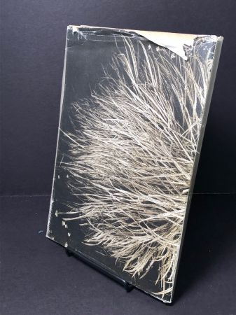 Rimantas Dichavicius Blossoms Among Blossoms Hardback 1989 17.jpg