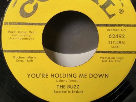 The Buzz I’ve Gotta Buzz : You’re Holding Me Down on Coral 62492 Promo 5.jpg