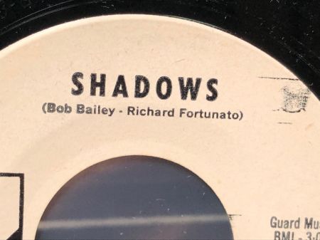 The Vejtables Shadows on Uptown 741 white label promo 6.jpg
