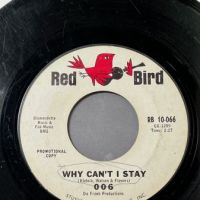 006 Like What, Me Worry b:w Why Can’t I Stay on Red Bird PROMO 7.jpg