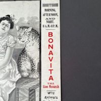 1902 Baltimore Zoo Poster with Chiquita The Living Doll and Morelli Queen of Jaguars 9.jpg