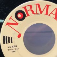 Barry Ebling & The Invaders I Can Make It Without You  on Norman Records 10.jpg