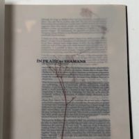 David Sylvian In Praise of Shamans World Tour Program 1988 7.jpg