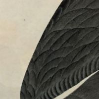 James Audubon Arctic Yager Long-tailed Jaeger Plate CCLXVII (267) 17.jpg