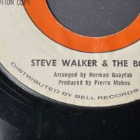 Steve Walker & The Bold The Train Kept A Rollin’ on DynoVoice 9.jpg